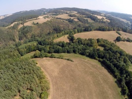 G0070579