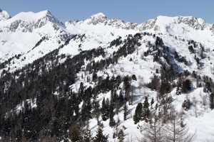 IMG_2762