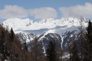 IMG_2806