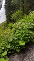 20160621_103350
