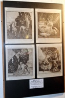 IMG_7411
