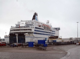 IMG_4207.jpg
