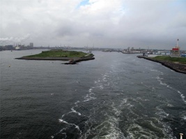 IMG_4295.jpg