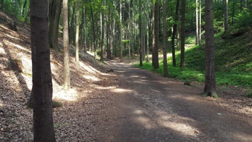 20160723_144949