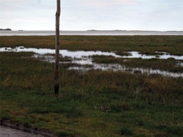 IMG_4662.jpg