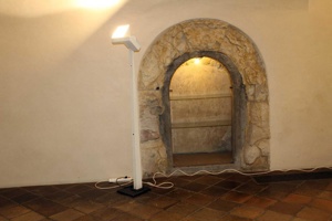 IMG_8237