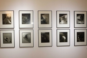IMG_8240