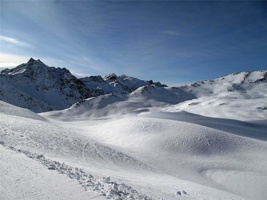 SI-736.jpg