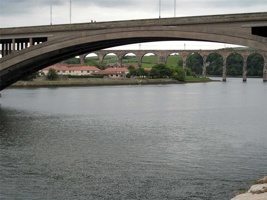 IMG_4707.jpg