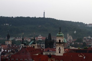IMG_8329