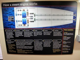 IMG_4961.jpg