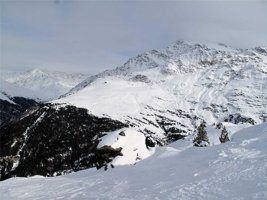 SJ-072.jpg