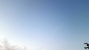 20160803_203332