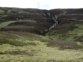IMG_5521.jpg
