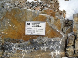SJ-099.jpg