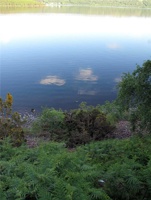 IMG_5643.jpg