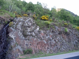 IMG_5650.jpg