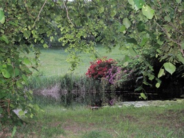 IMG_5722.jpg