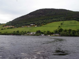 IMG_5995.jpg