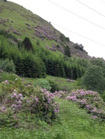 IMG_6173.jpg
