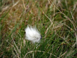 IMG_6246.jpg