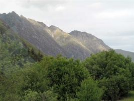 IMG_6316.jpg
