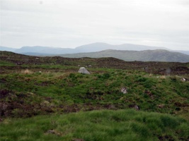 TK-010.jpg