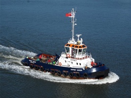 TL-018.jpg