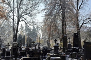 NUM_4771