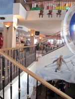 SJ-406.jpg
