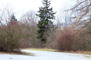IMG_8167