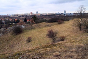IMG_8188