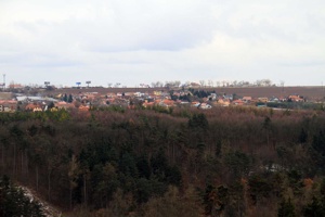 IMG_8195