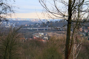 IMG_8247