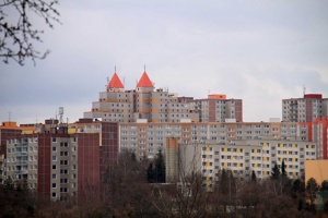IMG_8248