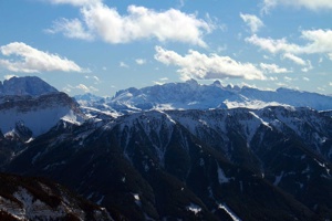 IMG_8767
