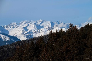 IMG_8786