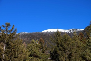 IMG_8790