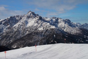 IMG_8884