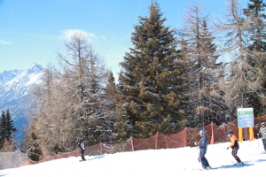IMG_8906
