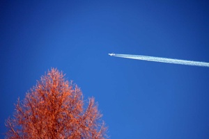 IMG_8932