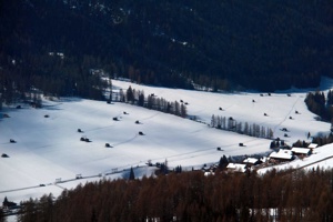 IMG_8935
