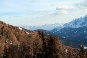 IMG_9010