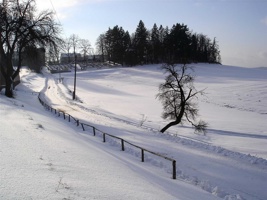 DP-012.jpg