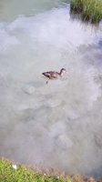 20170823_152820
