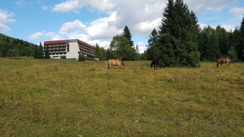 20170907_165010