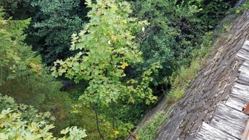 20170907_165920
