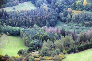 IMG_3094