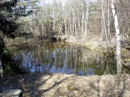 Hrachov-jezírko.jpg